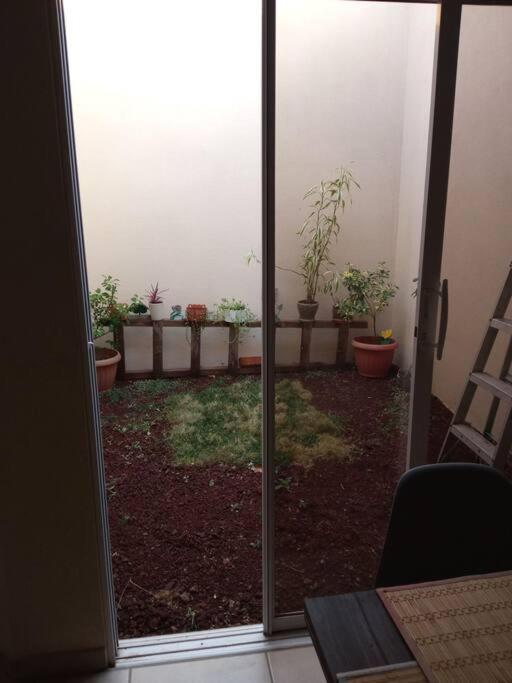 La Casa Del Pinito Lejlighed Sonsonate Eksteriør billede
